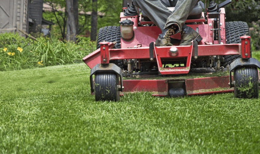 LAWN MAINTENANCE