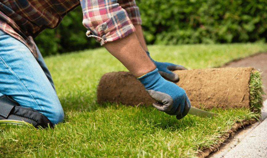 SOD INSTALLATION